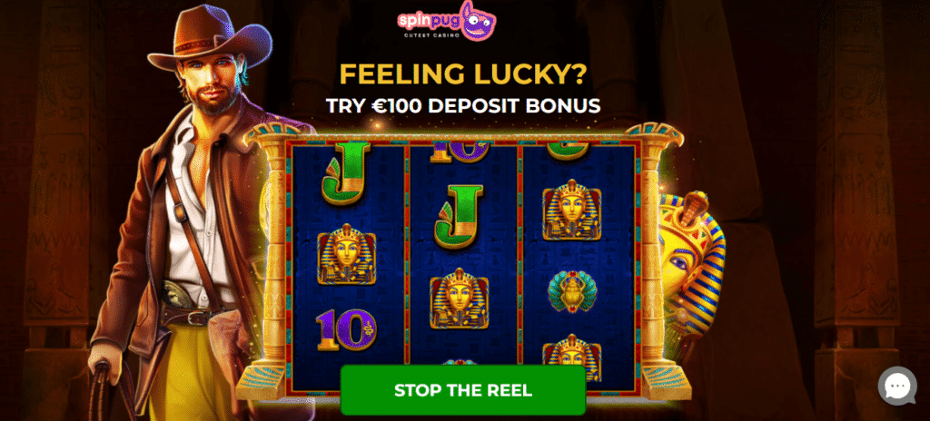 Spinpug Online Casino